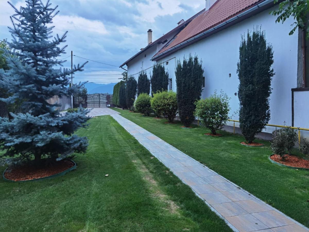 Janine Garden Hotel Brasov Ngoại thất bức ảnh